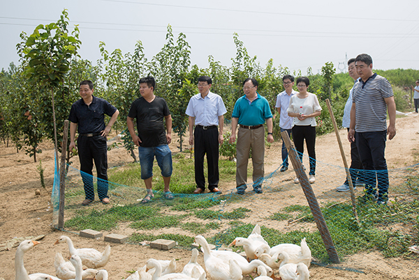 2017-08-03_190951_370343.jpg 3.jpg