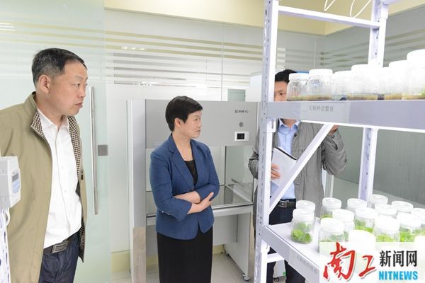 2017-05-05_093212_912054.jpg DSC_6274_副本.jpg