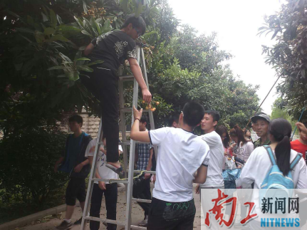 2016-05-27_110313_266197.png 图片1.png