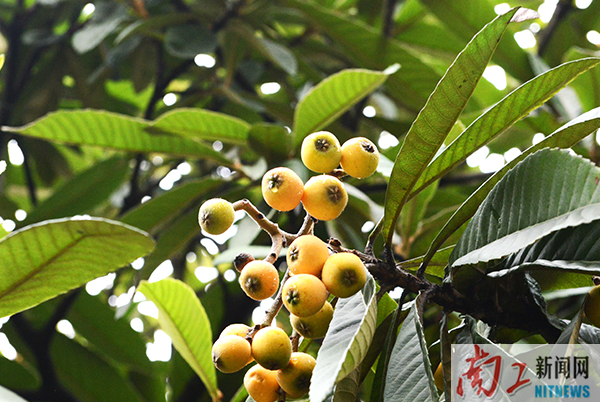 2018-05-28_090753_623172.png 图片1.png